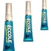 ECCOLE - Image 2